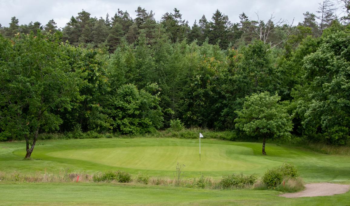 Holstebro Golfklub